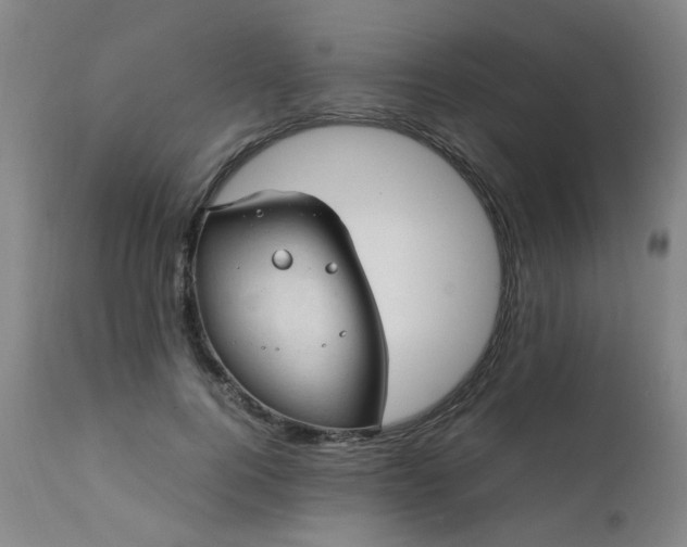 X0000111390744200907171245