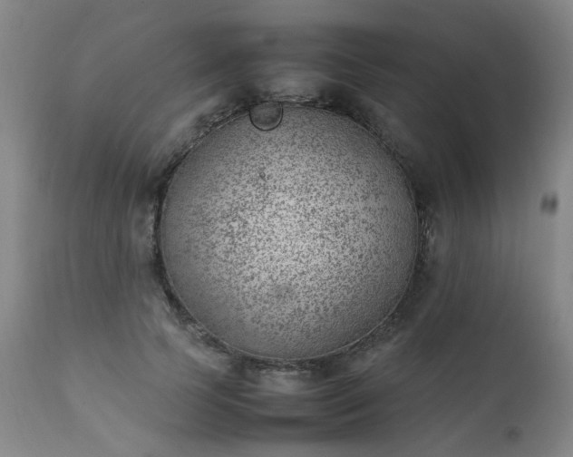 X0000111390745200907171245