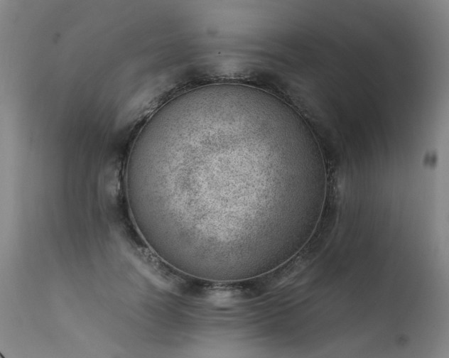 X0000111390746200907171245