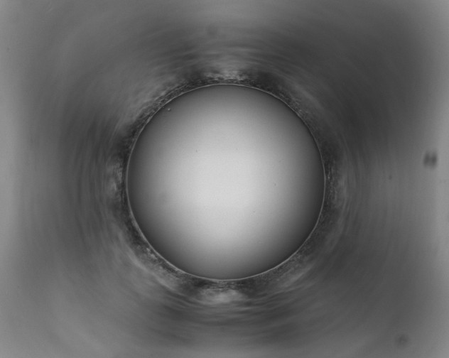 X0000111390747200907171245