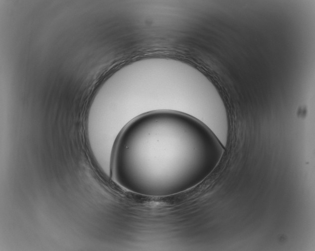 X0000111390748200907171245