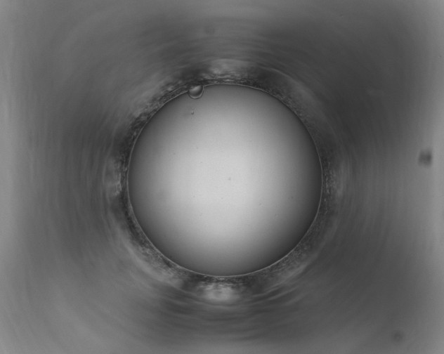 X0000111390751200907171245