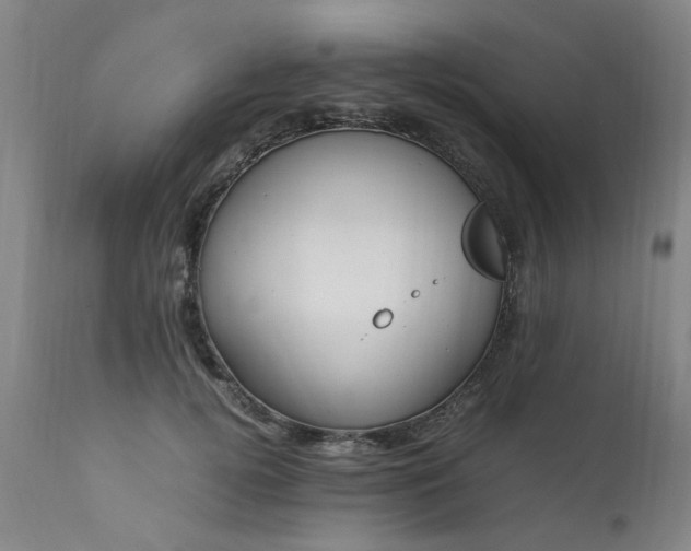 X0000111390752200907171245