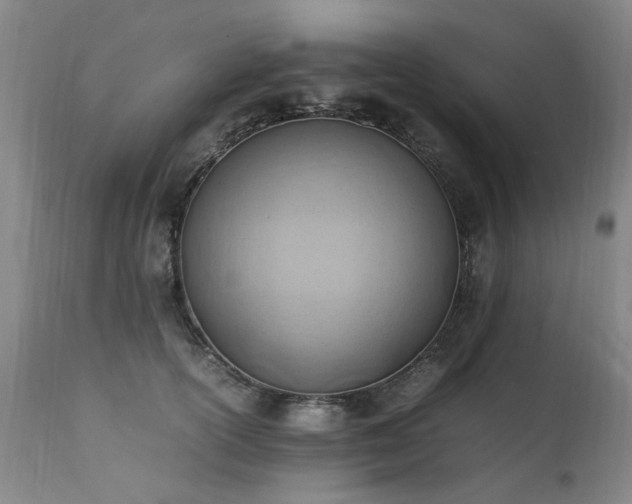 X0000111390754200907171245