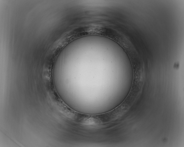 X0000111390755200907171245