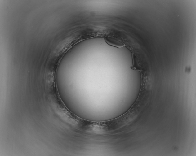 X0000111390756200907171245