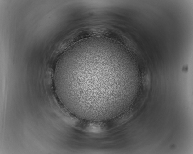 X0000111390757200907171245