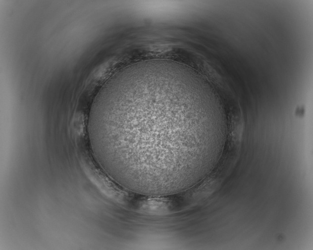 X0000111390758200907171245