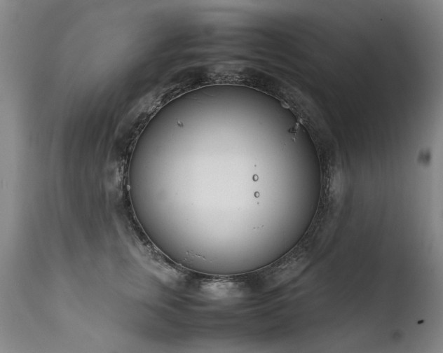 X0000111390759200907171245