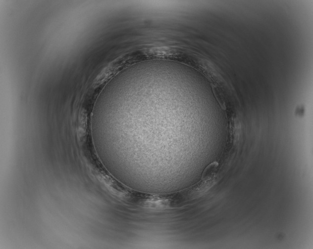 X0000111390760200907171245