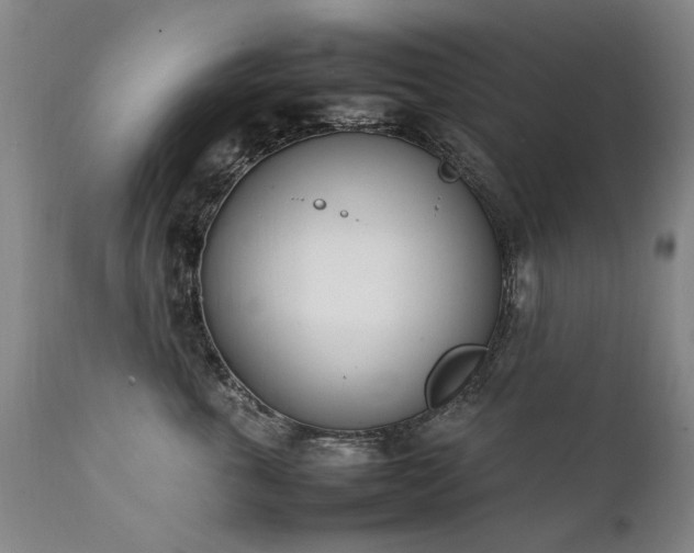 X0000111390763200907171245