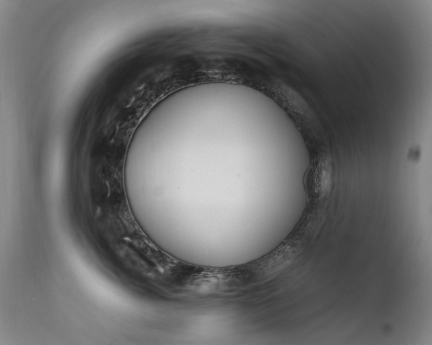 X0000111390764200907171245