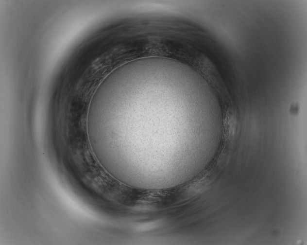 X0000111390765200907171245