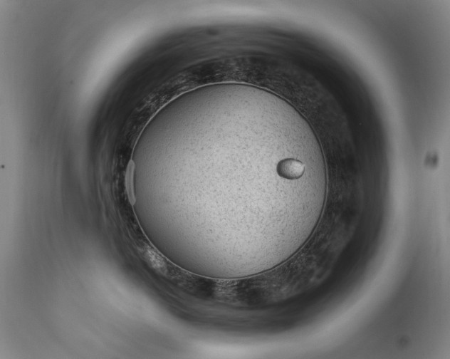 X0000111390766200907171245