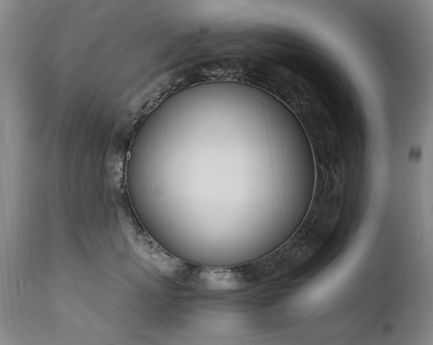 X0000111390767200907171245