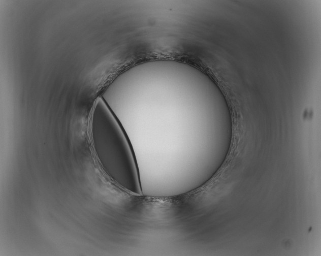 X0000111390768200907171245