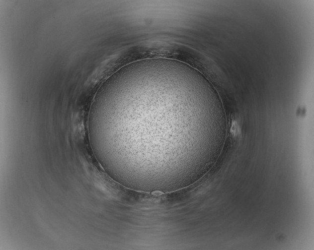 X0000111390771200907171245