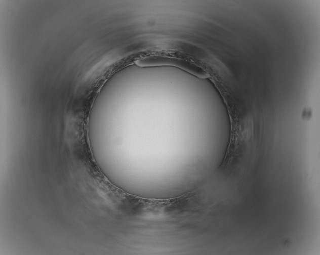 X0000111390773200907171245