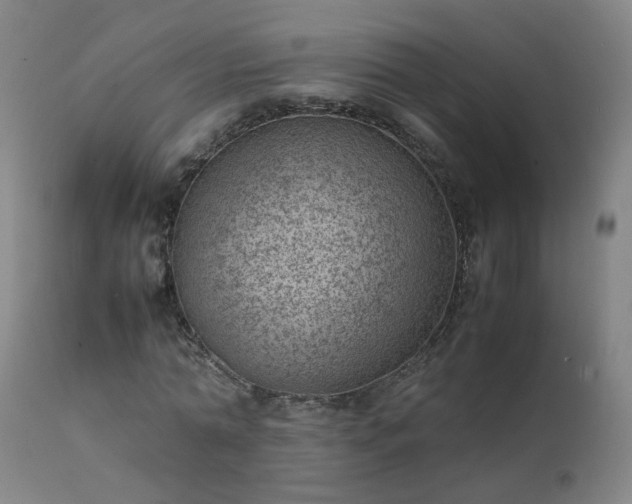 X0000111390774200907171245