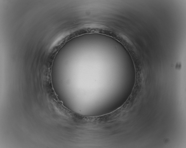 X0000111390775200907171245