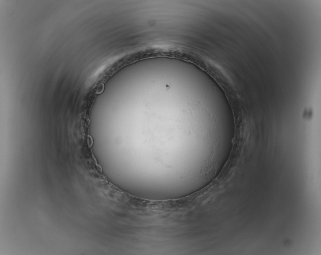 X0000111390776200907171245