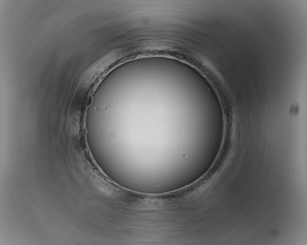 X0000111390777200907171245