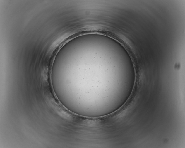 X0000111390778200907171245