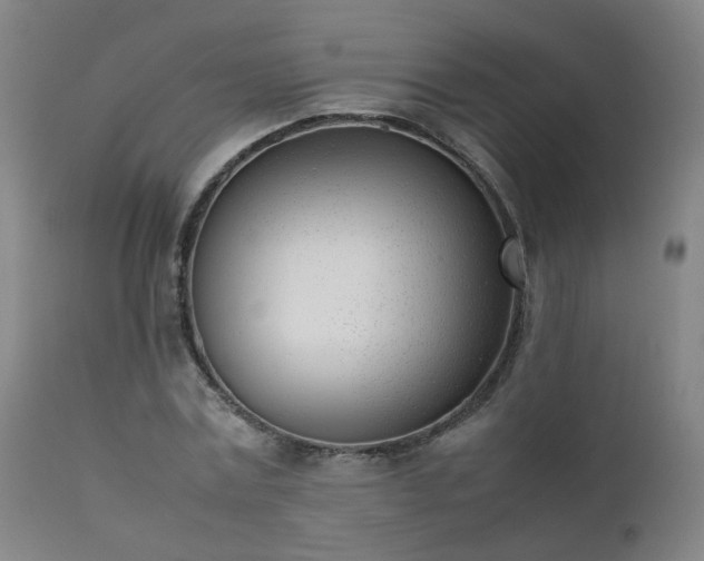 X0000111390779200907171245