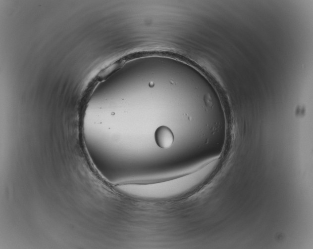 X0000111390781200907171245