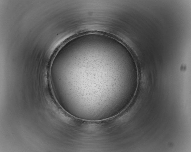 X0000111390782200907171245