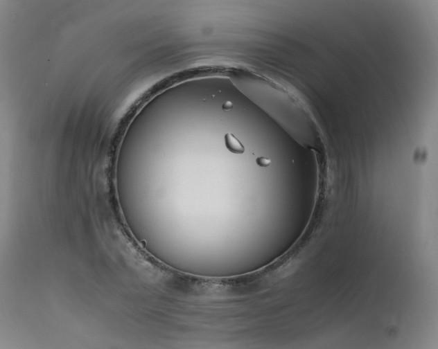 X0000111390783200907171245