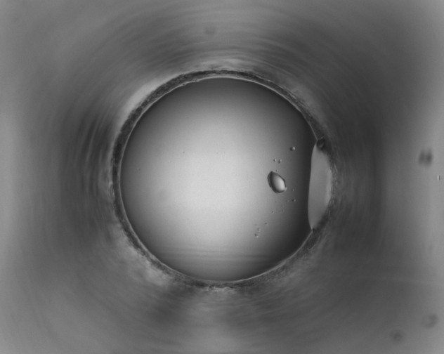 X0000111390784200907171245