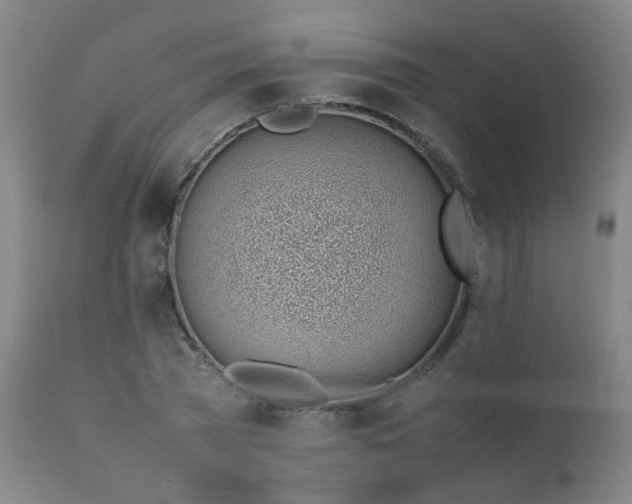 X0000111390785200907171245