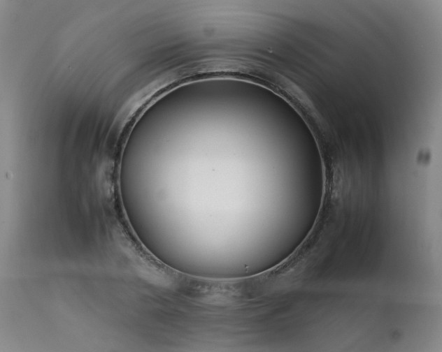 X0000111390786200907171245