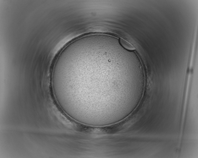 X0000111390787200907171245