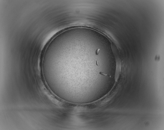 X0000111390788200907171245