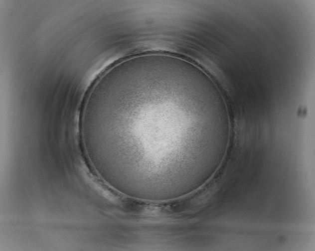 X0000111390790200907171245