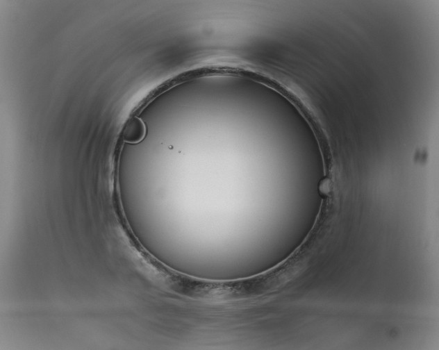 X0000111390791200907171245