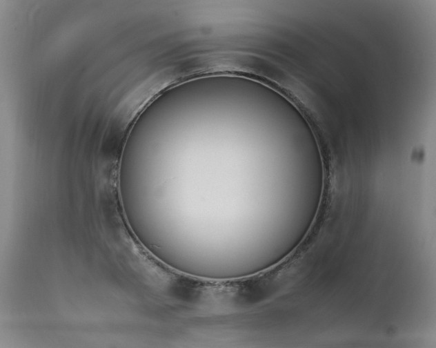 X0000111390793200907171244