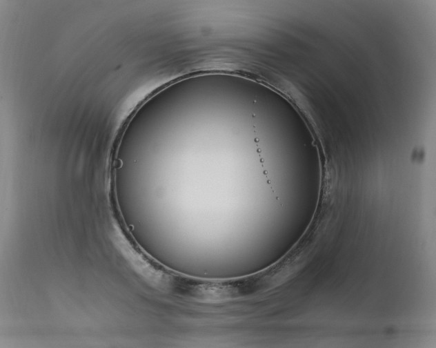 X0000111390795200907171244