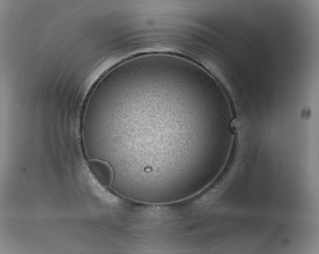 X0000111390797200907171244