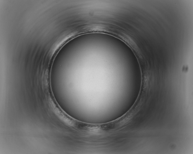 X0000111390798200907171244