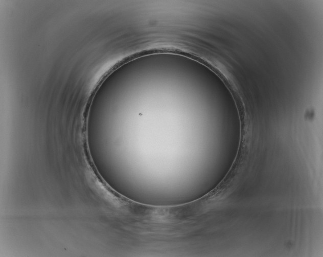 X0000111390799200907171244