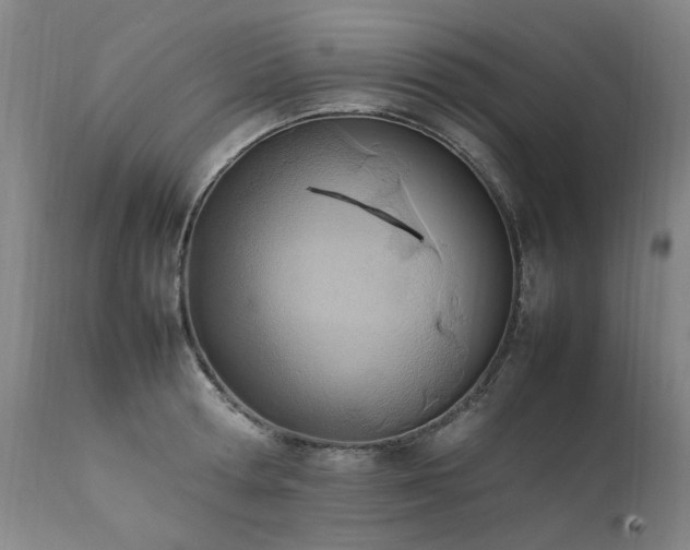 X0000111390802200907171244