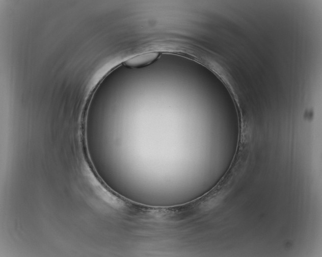 X0000111390803200907171244