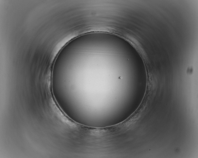 X0000111390804200907171244