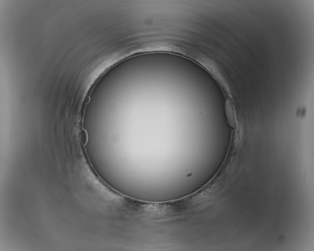 X0000111390805200907171244