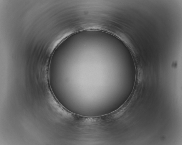 X0000111390806200907171244