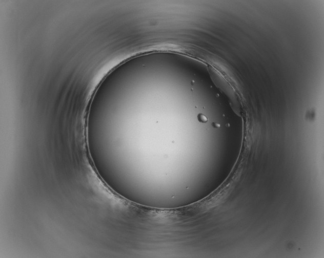 X0000111390808200907171244