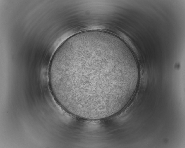 X0000111390810200907171244